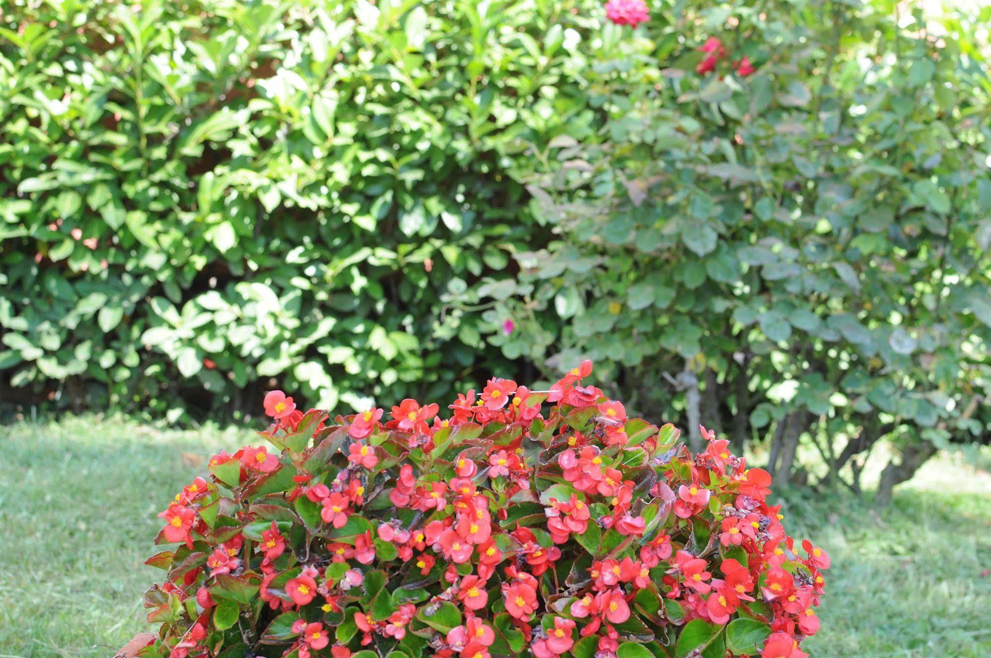 Marinetta Bed&Breakfast Signa Exteriör bild